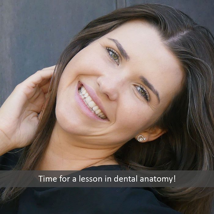 Midtown General & Cosmetic Dentistry dental anatomy 2022 700